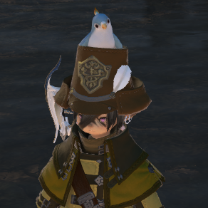 Rumo with Birb.png