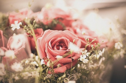 Tumblr static flowers-photography-pink-roses-vintage-favim.com-127778.jpg