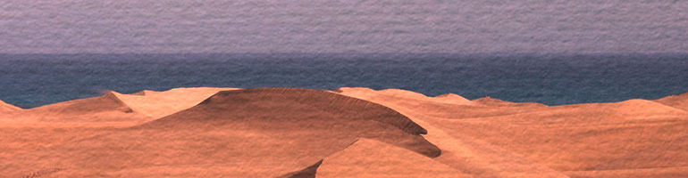Desert-banner.jpg