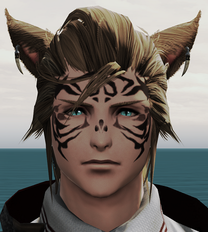 File:Gavbust1.png