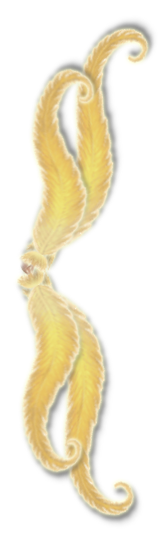 KalliChocoDividerDoNotCopy.png