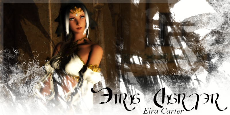 Eiralogo3.jpg