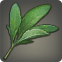 File:Medical herbs.png