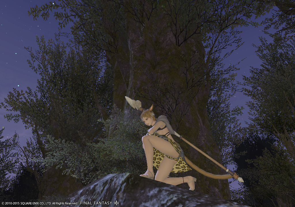 [Image: Ffxiv_04022015_215318.png]