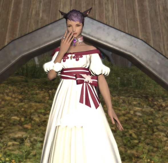 File:Zaeira formal outting.png
