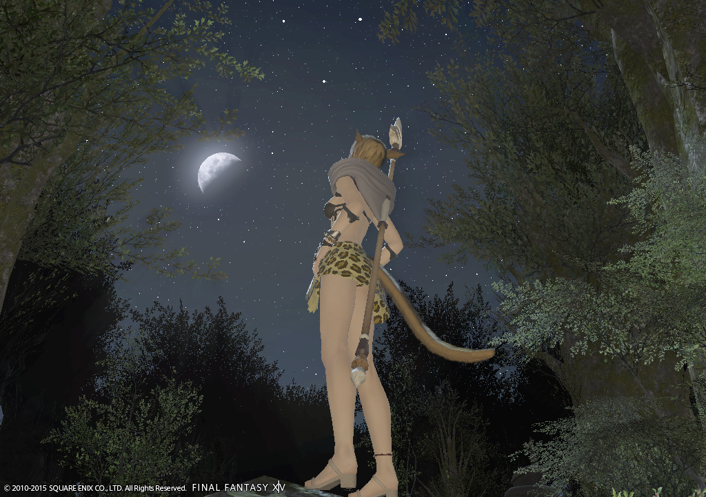 [Image: Ffxiv_04022015_214954.png]