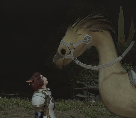 Bou the Chocobo