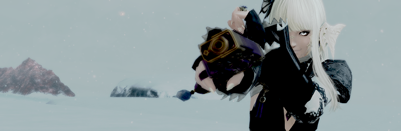 Fuyuko-Pistol-Banner.png