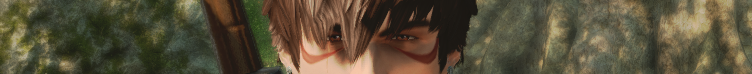 Chamberlainbanner.png