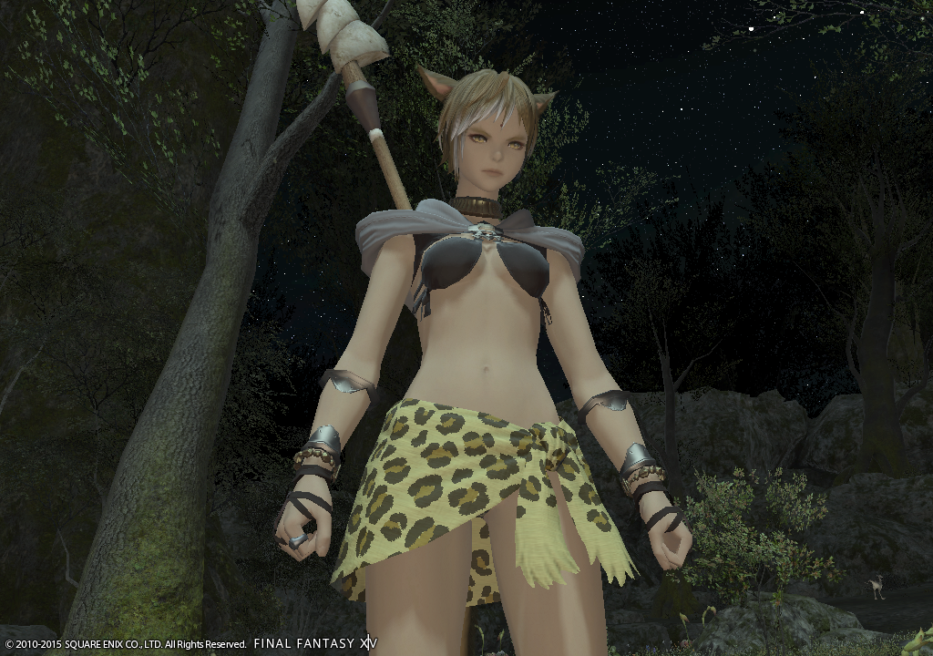 [Image: Ffxiv_04022015_214547.png]