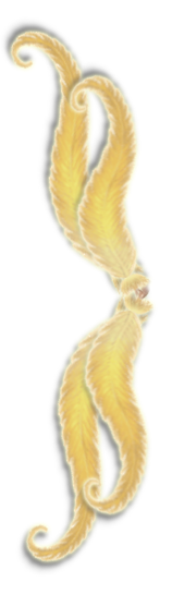 KalliChocoDivider2DoNotCopy.png