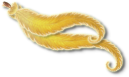 File:ChocoFeatherKalliHor.png