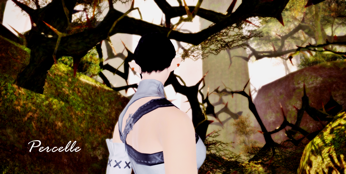 Ffxiv 09032016 204800.png