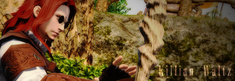 Killian Banner.png