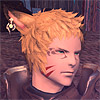 An outgoing Moon-keeper Miqo'te who tries to protect his friends and loved ones with his new-found strength.