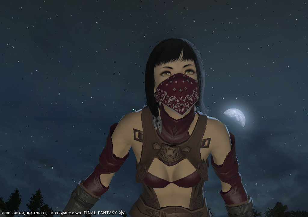 [Image: Ffxiv_12012014_211942.png]