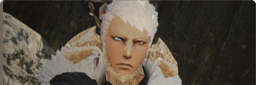 EC EmarealBanner.png