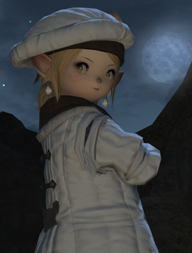 File:Moonynomi.png