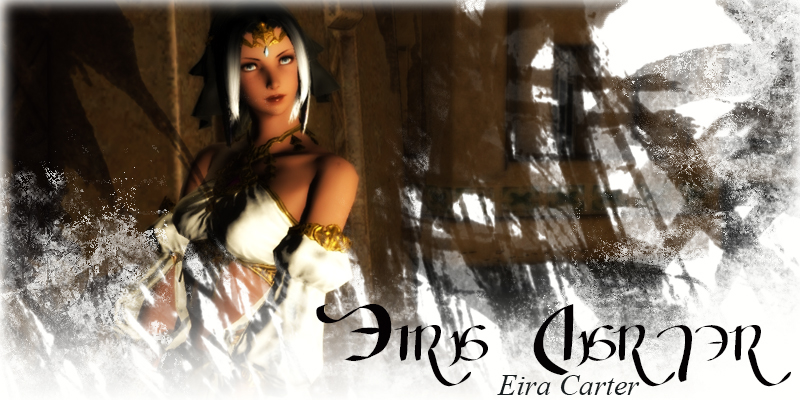Eiralogo2.jpg