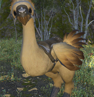 File:Kenji.png