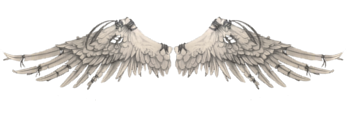 File:BWingsdivide.png