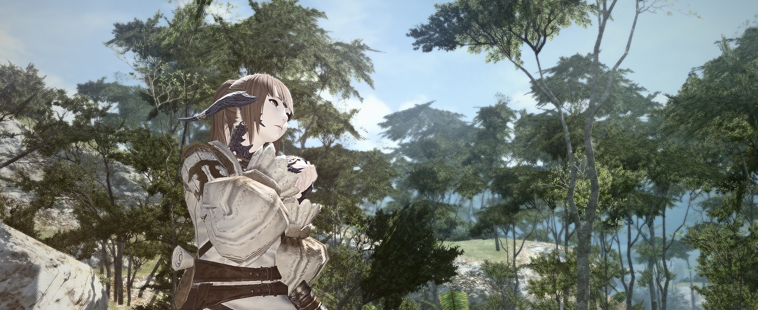 SD-banner2.jpeg