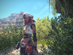 Ffxiv 12102017 170257.png