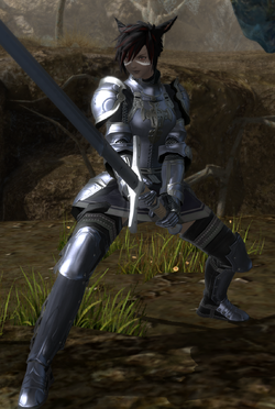 Kasi's greatsword and armor