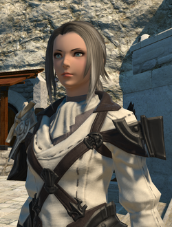 Ffxiv 12312015 093314 wikiedit.png