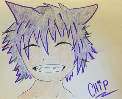 Chip colored.JPG