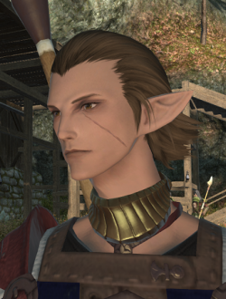 Uther elezen 8.png