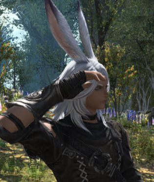 Weiss Loire Viera 2.png