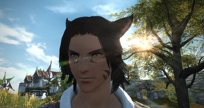 MiqoDom.png