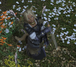 Ffxiv 04042016 033522.png