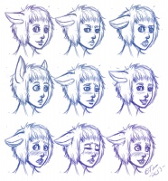 Many expressions of Otte