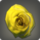 64px-Dried Yellow Oldrose Icon.png
