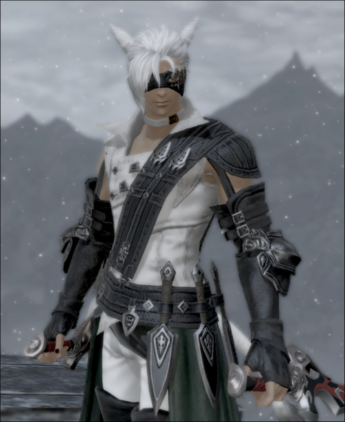 White-Wolf-Rogue-Appearance.png