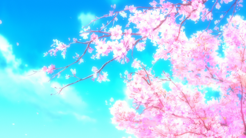 CherryBlossom.png