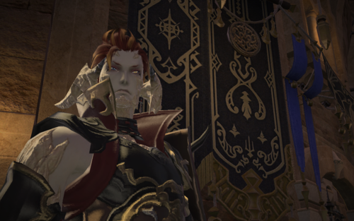 Somnus Dealer